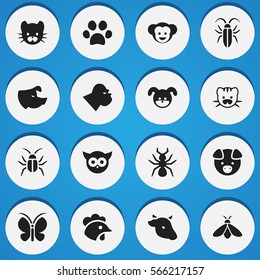 Set Of 16 Editable Zoology Icons. Includes Symbols Such As Cockroach, Hog, Bird And More. Can Be Used For Web, Mobile, UI And Infographic Design.