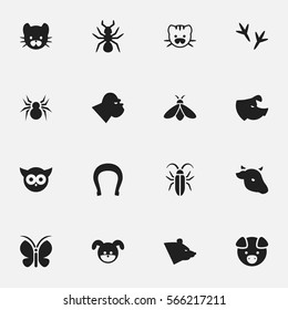 Set Of 16 Editable Zoology Icons. Includes Symbols Such As Honey, Chimpanzee, Moth And More. Can Be Used For Web, Mobile, UI And Infographic Design.