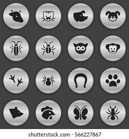 Set Of 16 Editable Zoology Icons. Includes Symbols Such As Bull, Puppy, Footprint And More. Can Be Used For Web, Mobile, UI And Infographic Design.