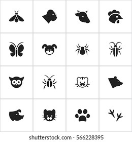 Set Of 16 Editable Zoology Icons. Includes Symbols Such As Bull, Grizzly, Arachind And More. Can Be Used For Web, Mobile, UI And Infographic Design.