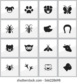 Set Of 16 Editable Zoology Icons. Includes Symbols Such As Bedbug, Hog, Moth And More. Can Be Used For Web, Mobile, UI And Infographic Design.