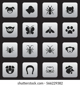 Set Of 16 Editable Zoology Icons. Includes Symbols Such As Hog, Moth, Bedbug And More. Can Be Used For Web, Mobile, UI And Infographic Design.