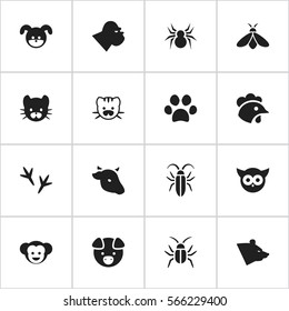 Set Of 16 Editable Zoology Icons. Includes Symbols Such As Puppy, Rooster, Feline And More. Can Be Used For Web, Mobile, UI And Infographic Design.