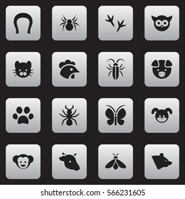 Set Of 16 Editable Zoology Icons. Includes Symbols Such As Bug, Talisman, Feline And More. Can Be Used For Web, Mobile, UI And Infographic Design.