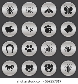 Set Of 16 Editable Zoology Icons. Includes Symbols Such As Puppy, Hog, Bedbug And More. Can Be Used For Web, Mobile, UI And Infographic Design.