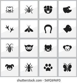 Set Of 16 Editable Zoology Icons. Includes Symbols Such As Talisman, Honey, Puppy And More. Can Be Used For Web, Mobile, UI And Infographic Design.