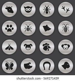 Set Of 16 Editable Zoology Icons. Includes Symbols Such As Cockroach, Forepaw, Honey And More. Can Be Used For Web, Mobile, UI And Infographic Design.