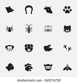 Set Of 16 Editable Zoology Icons. Includes Symbols Such As Hog, Bug, Talisman And More. Can Be Used For Web, Mobile, UI And Infographic Design.
