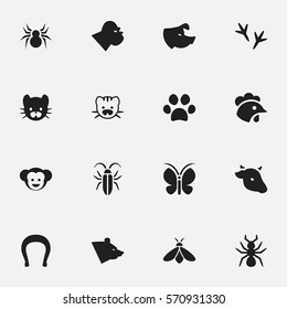 Set Of 16 Editable Zoology Icons. Includes Symbols Such As Talisman, Beast, Bug And More. Can Be Used For Web, Mobile, UI And Infographic Design.