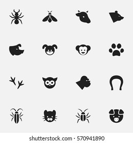 Set Of 16 Editable Zoology Icons. Includes Symbols Such As Cockroach, Puppy, Hog And More. Can Be Used For Web, Mobile, UI And Infographic Design.