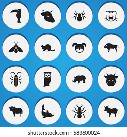 Set Of 16 Editable Zoology Icons. Includes Symbols Such As Playful Fish, Honey, Puppy And More. Can Be Used For Web, Mobile, UI And Infographic Design.