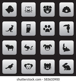 Set Of 16 Editable Zoology Icons. Includes Symbols Such As Feline, Tropical Bird, Forepaw And More. Can Be Used For Web, Mobile, UI And Infographic Design.