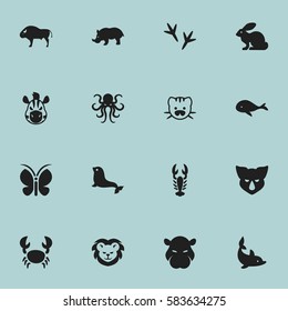Set Of 16 Editable Zoology Icons. Includes Symbols Such As Sea Calf, Tentacle, Crawfish And More. Can Be Used For Web, Mobile, UI And Infographic Design.