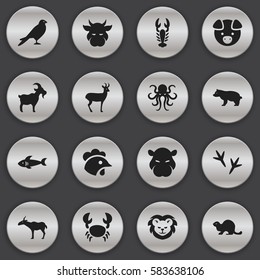 Set Of 16 Editable Zoology Icons. Includes Symbols Such As Wildlife Castor, Shark, Footprint And More. Can Be Used For Web, Mobile, UI And Infographic Design.