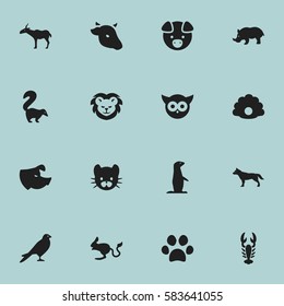 Set Of 16 Editable Zoology Icons. Includes Symbols Such As Conch, Hog, Feline And More. Can Be Used For Web, Mobile, UI And Infographic Design.