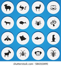 Set Of 16 Editable Zoology Icons. Includes Symbols Such As Arachind, Livestock, Grizzly And More. Can Be Used For Web, Mobile, UI And Infographic Design.
