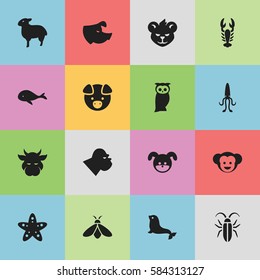 Set Of 16 Editable Zoology Icons. Includes Symbols Such As Honey, Crawfish, Sea Star And More. Can Be Used For Web, Mobile, UI And Infographic Design.