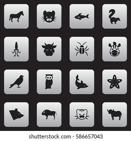 Set Of 16 Editable Zoology Icons. Includes Symbols Such As Grizzly, Kine, Owl And More. Can Be Used For Web, Mobile, UI And Infographic Design.