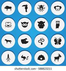 Set Of 16 Editable Zoology Icons. Includes Symbols Such As Livestock, Jerboa, Night Fowl And More. Can Be Used For Web, Mobile, UI And Infographic Design.