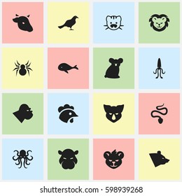 Set Of 16 Editable Zoology Icons. Includes Symbols Such As Chimpanzee, Ocean Blower, Beast And More. Can Be Used For Web, Mobile, UI And Infographic Design.