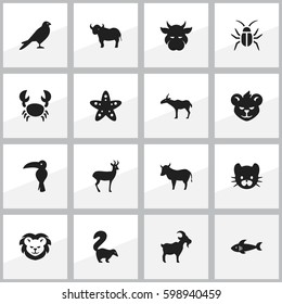 Set Of 16 Editable Zoology Icons. Includes Symbols Such As Kine, Eagle, Reindeer And More. Can Be Used For Web, Mobile, UI And Infographic Design.