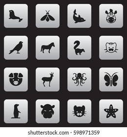 Set Of 16 Editable Zoology Icons. Includes Symbols Such As Playful Fish, Skunk, Honey And More. Can Be Used For Web, Mobile, UI And Infographic Design.