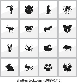 Set Of 16 Editable Zoology Icons. Includes Symbols Such As Tentacle, Arachind, Crawfish And More. Can Be Used For Web, Mobile, UI And Infographic Design.