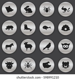 Set Of 16 Editable Zoology Icons. Includes Symbols Such As Cockroach, Feline, Bunny And More. Can Be Used For Web, Mobile, UI And Infographic Design.