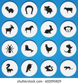 Set Of 16 Editable Zoology Icons. Includes Symbols Such As Horse, Livestock, Rabbit And More. Can Be Used For Web, Mobile, UI And Infographic Design.