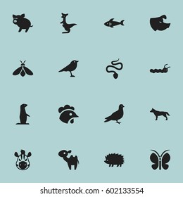 Set Of 16 Editable Zoology Icons. Includes Symbols Such As Pigeon, Serpent, Rooster And More. Can Be Used For Web, Mobile, UI And Infographic Design.