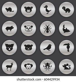 Set Of 16 Editable Zoology Icons. Includes Symbols Such As Bedbug, Wildlife Castor, Bear And More. Can Be Used For Web, Mobile, UI And Infographic Design.