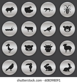 Set Of 16 Editable Zoology Icons. Includes Symbols Such As Lamb, Kine, Bunny And More. Can Be Used For Web, Mobile, UI And Infographic Design.