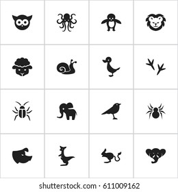 Set Of 16 Editable Zoology Icons. Includes Symbols Such As Sheep, Sow, Arachind And More. Can Be Used For Web, Mobile, UI And Infographic Design.