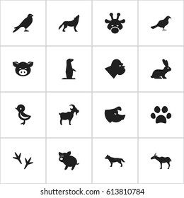Set Of 16 Editable Zoology Icons. Includes Symbols Such As Gull, Forepaw, Rabbit And More. Can Be Used For Web, Mobile, UI And Infographic Design.