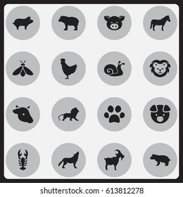 Set Of 16 Editable Zoology Icons. Includes Symbols Such As Cock, Wildcat, Honey And More. Can Be Used For Web, Mobile, UI And Infographic Design.