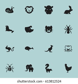 Set Of 16 Editable Zoology Icons. Includes Symbols Such As Jerboa, Cock, Beast And More. Can Be Used For Web, Mobile, UI And Infographic Design.