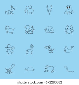 Set Of 16 Editable Zoology Icons. Includes Symbols Such As Serpent, Pelican, Rat And More. Can Be Used For Web, Mobile, UI And Infographic Design.