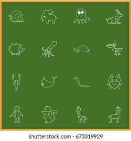 Set Of 16 Editable Zoology Icons. Includes Symbols Such As Cachalot, Polar Bird, Elephant And More. Can Be Used For Web, Mobile, UI And Infographic Design.