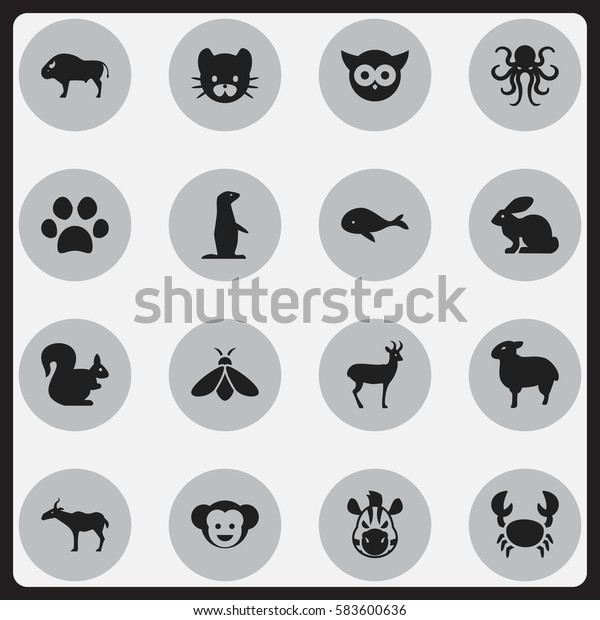 Set 16 Editable Zoology Icons Includes Stock Vector (Royalty Free ...