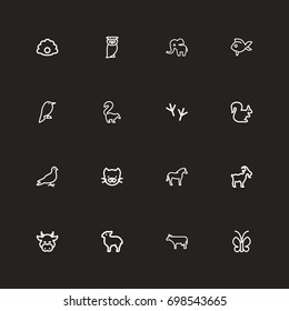 Set Of 16 Editable Zoology Outline Icons. Includes Symbols Such As Bird Trace, Bun, Bird And More. Can Be Used For Web, Mobile, UI And Infographic Design.