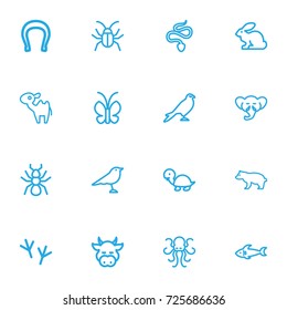 Set Of 16 Editable Zoology Outline Icons. Includes Symbols Such As Snake, Beetle, Bird Trace And More. Can Be Used For Web, Mobile, UI And Infographic Design.