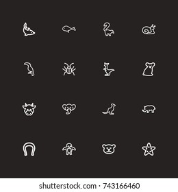 Set Of 16 Editable Zoology Outline Icons. Includes Symbols Such As Smelly Animal, Proboscis, Kangaroo And More. Can Be Used For Web, Mobile, UI And Infographic Design.