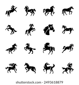 Set of 16 Equine Solid Icons 
