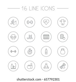 Set Of 16 Fitness Outline Icons Set.Collection Of Health Care, Water Bottle, Pool And Other Elements.