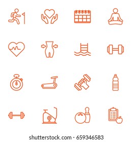 Set Of 16 Fitness Outline Icons Set.Collection Of Pulse, Barbell, Exercise Bike And Other Elements.