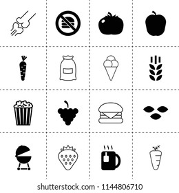 Set of 16 food filled and outline icons such as wheat, seeds, grapes, tomato, popcorn, barbecue, carrot, no fast food, tea, apple, bag, strawberry, burger, bone