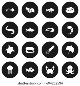 Set Of 16 Food Icons Set.Collection Of Shark, Tortoise, Acne And Other Elements.