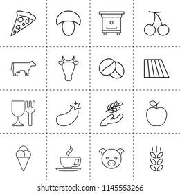Set of 16 food outline icons such as wheat, field, cow, coffee bean, cherry, mushroom, pig, harvest, eggplant, apple, hive, pizza slice, food safe, tea