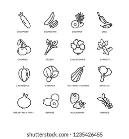Set Of 16 Fruits and vegetables linear icons such as Berries, Blackberry, berries, Breast milk fruit, Broccoli, Cucumber, Cherries, Carambola, Cauliflower, editable stroke icon pack, pixel perfect