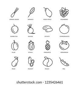 Set Of 16 Fruits and vegetables linear icons such as Pea, Peach, Peanut, Pear, Persimmon, Spring onion, Rambutan, Plum, Potato, editable stroke icon pack, pixel perfect